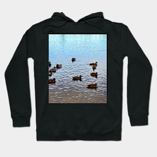 Ducks in a Pond Hoodie